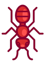 Ant.